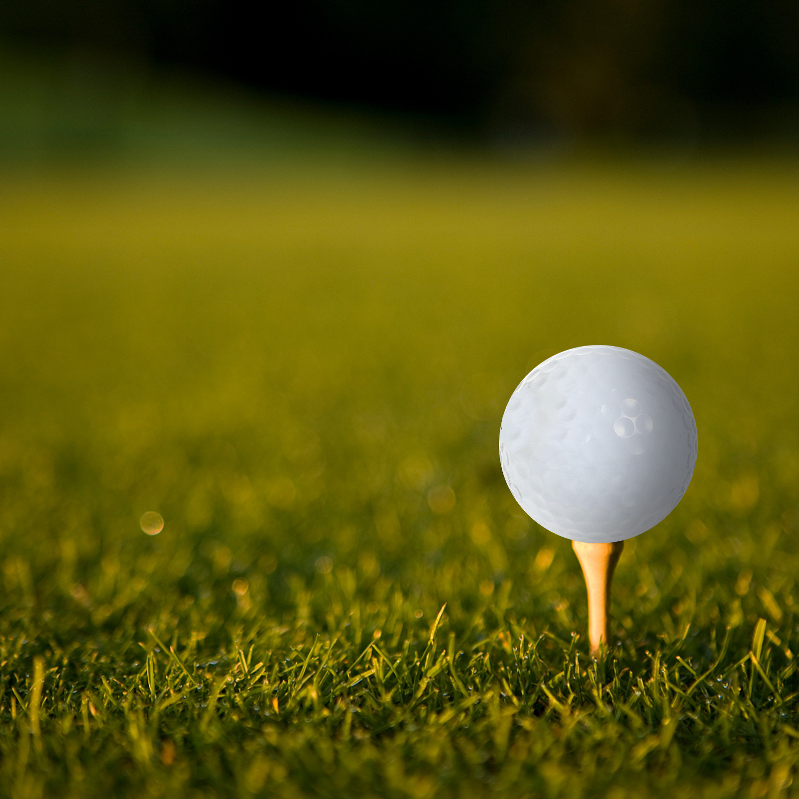 Palline da golf per pratica in - Golf Equipment Beginners recensione e prezzo